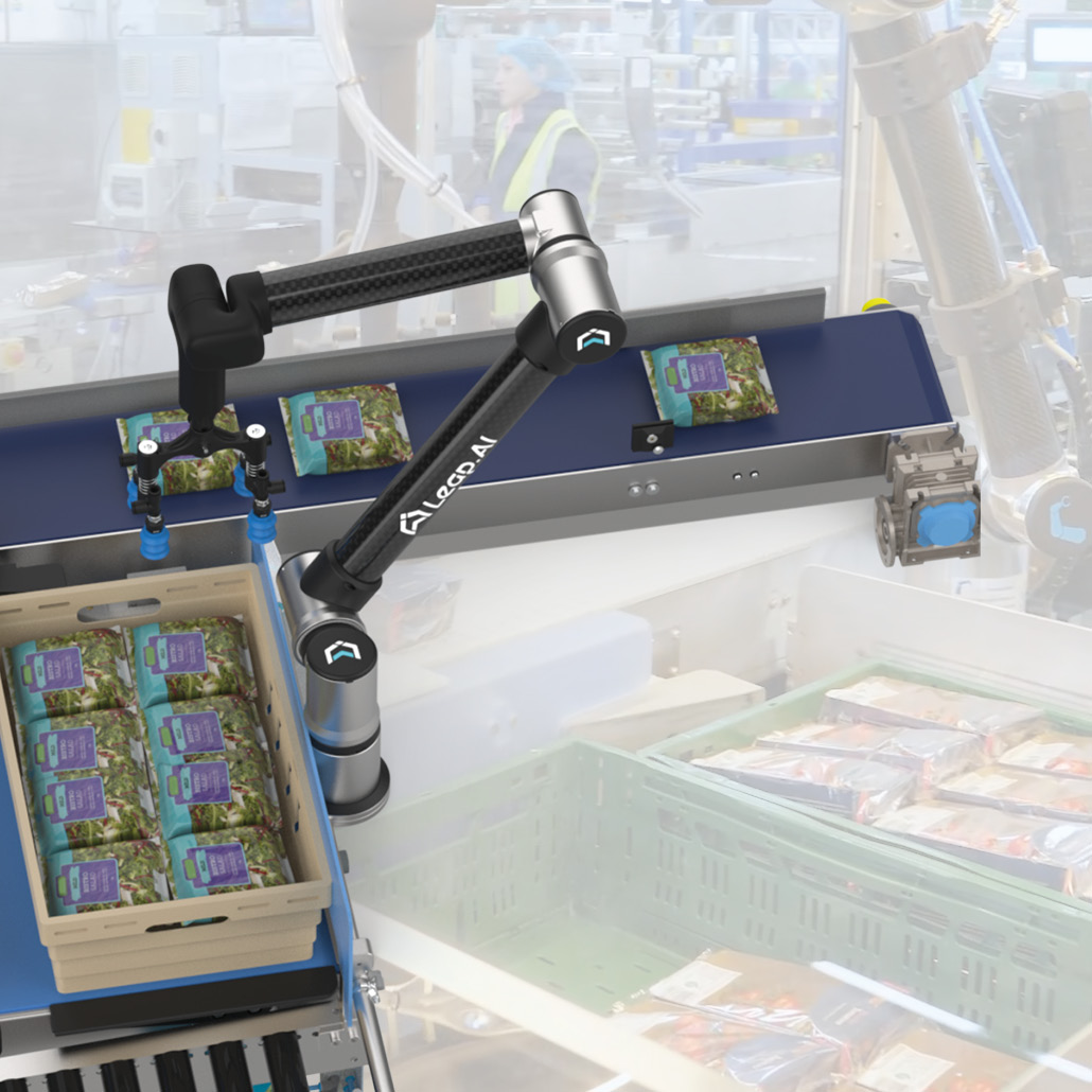Leap AI pick and place robots packing vegetables